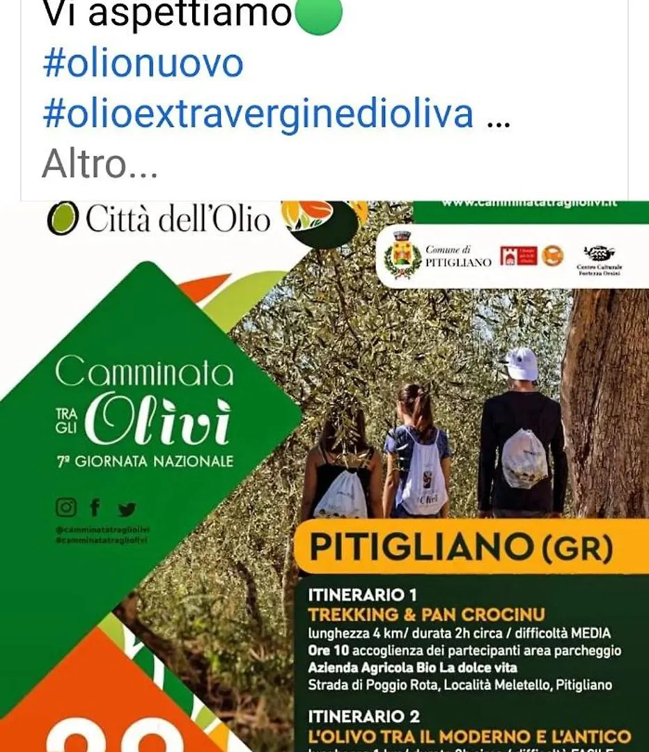 Hotel Agrifa' Pitigliano Italien